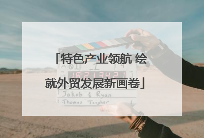 特色产业领航 绘就外贸发展新画卷