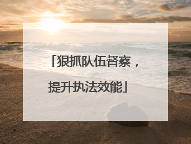 狠抓队伍督察，提升执法效能