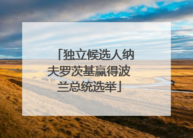 独立候选人纳夫罗茨基赢得波兰总统选举