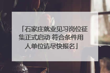 石家庄就业见习岗位征集正式启动 符合条件用人单位请尽快报名