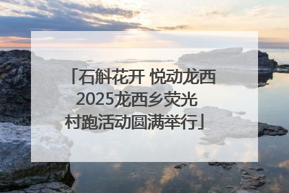 石斛花开 悦动龙西 2025龙西乡荧光村跑活动圆满举行