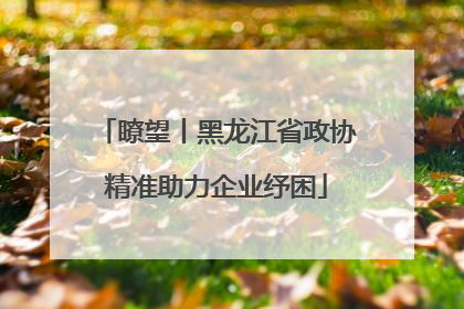 瞭望丨黑龙江省政协精准助力企业纾困