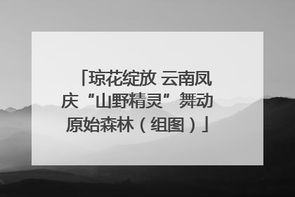 琼花绽放 云南凤庆“山野精灵”舞动原始森林（组图）