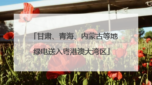 甘肃、青海、内蒙古等地绿电送入粤港澳大湾区
