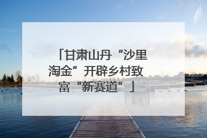 甘肃山丹“沙里淘金”开辟乡村致富“新赛道”