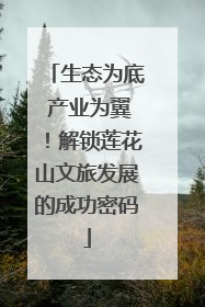 生态为底 产业为翼！解锁莲花山文旅发展的成功密码