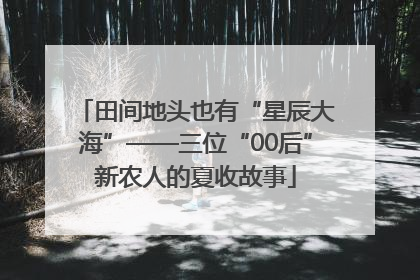 田间地头也有“星辰大海”——三位“00后”新农人的夏收故事