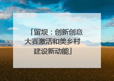留坝：创新创意大赛激活和美乡村建设新动能