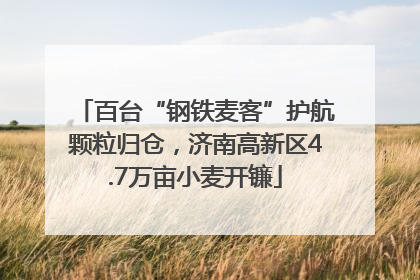 百台“钢铁麦客”护航颗粒归仓，济南高新区4.7万亩小麦开镰