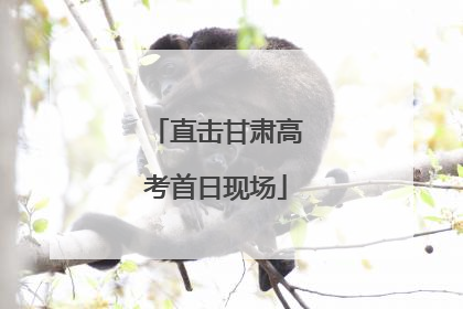 直击甘肃高考首日现场