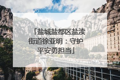 盐城盐都区盐渎街道徐亚明：守护平安勇担当