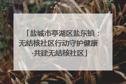 盐城市亭湖区盐东镇：无结核社区行动守护健康 ·共建无结核社区