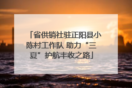 省供销社驻正阳县小陈村工作队 助力“三夏”护航丰收之路