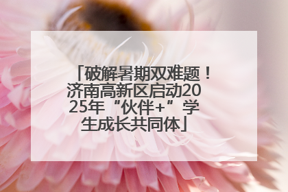 破解暑期双难题！济南高新区启动2025年“伙伴+”学生成长共同体