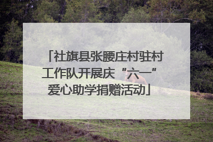 社旗县张腰庄村驻村工作队开展庆“六一”爱心助学捐赠活动