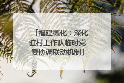 福建德化：深化驻村工作队临时党委协调联动机制
