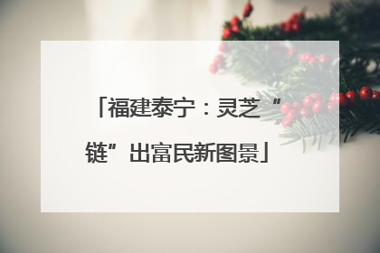 福建泰宁：灵芝“链”出富民新图景