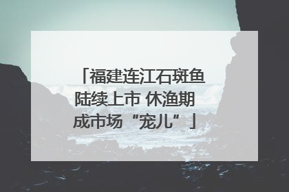 福建连江石斑鱼陆续上市 休渔期成市场“宠儿”