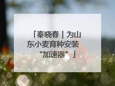 秦晓春｜为山东小麦育种安装“加速器”