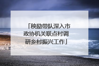 秧励带队深入市政协机关联点村调研乡村振兴工作