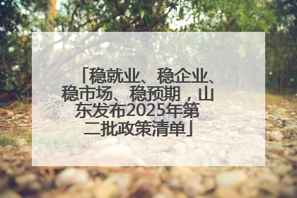 稳就业、稳企业、稳市场、稳预期，山东发布2025年第二批政策清单
