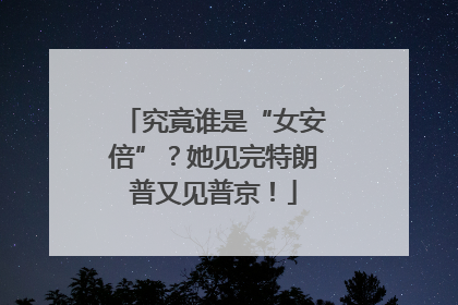 究竟谁是“女安倍”？她见完特朗普又见普京！