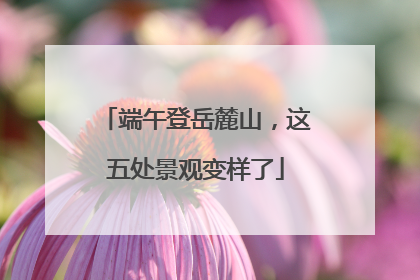 端午登岳麓山，这五处景观变样了