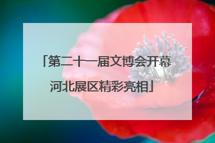 第二十一届文博会开幕 河北展区精彩亮相