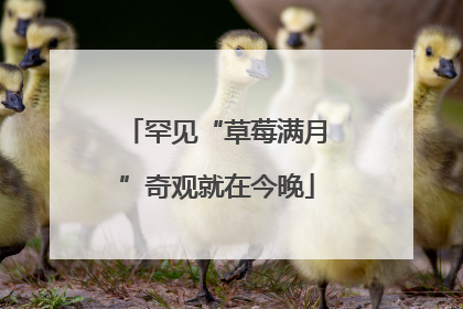罕见“草莓满月”奇观就在今晚