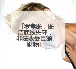 罗孝廉，廉洁底线失守，非法收受巨额财物