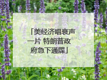 美经济唱衰声一片 特朗普政府急下通牒
