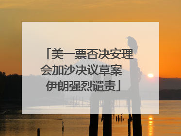 美一票否决安理会加沙决议草案 伊朗强烈谴责