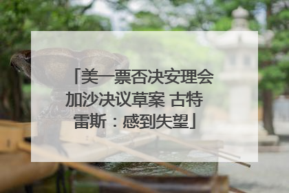 美一票否决安理会加沙决议草案 古特雷斯：感到失望