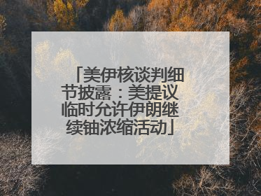 美伊核谈判细节披露：美提议临时允许伊朗继续铀浓缩活动