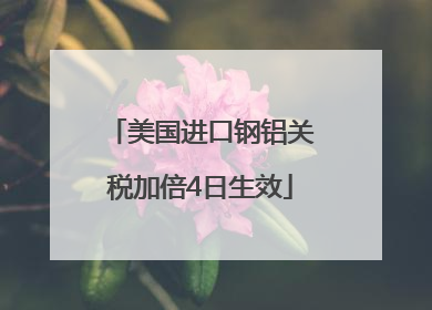 美国进口钢铝关税加倍4日生效