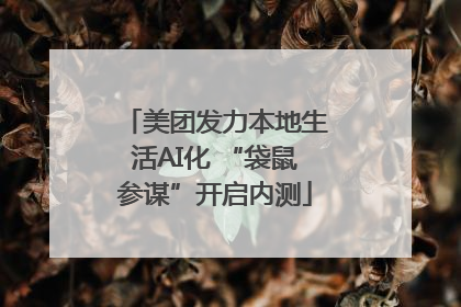 美团发力本地生活AI化 “袋鼠参谋”开启内测