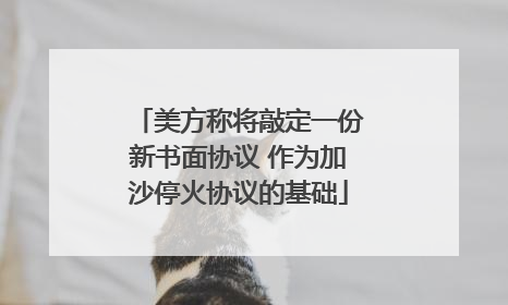 美方称将敲定一份新书面协议 作为加沙停火协议的基础
