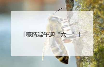 粽情端午迎“六一”
