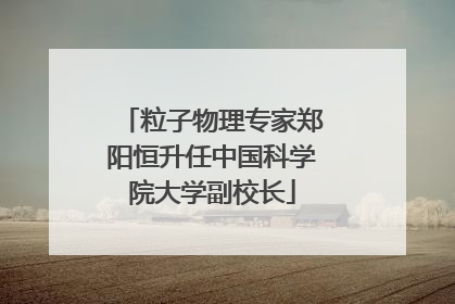 粒子物理专家郑阳恒升任中国科学院大学副校长