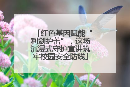 红色基因赋能“利剑护蕾”，这场沉浸式守护宣讲筑牢校园安全防线