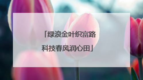 绿浪金叶织富路 科技春风润心田