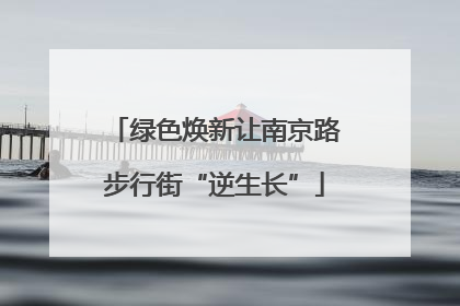 绿色焕新让南京路步行街“逆生长”