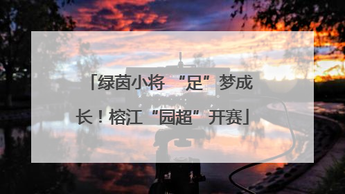 绿茵小将 “足”梦成长！榕江“园超”开赛