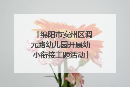 绵阳市安州区调元路幼儿园开展幼小衔接主题活动
