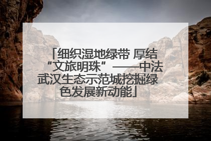 细织湿地绿带 厚结“文旅明珠”——中法武汉生态示范城挖掘绿色发展新动能
