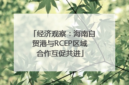 经济观察：海南自贸港与RCEP区域合作互促共进