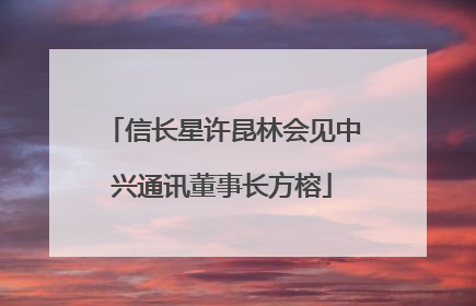信长星许昆林会见中兴通讯董事长方榕