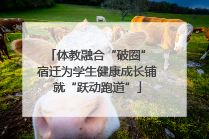 体教融合“破圈” 宿迁为学生健康成长铺就“跃动跑道”