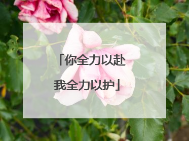 你全力以赴 我全力以护
