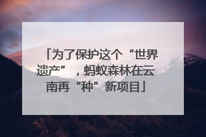 为了保护这个“世界遗产”，蚂蚁森林在云南再“种”新项目